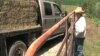 Farm Bill Key Issue on Presidential Campaign Trail in Iowa