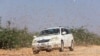FILE - A motorist drives within desert locusts near a grazing land on the outskirt of Dusamareb in Galmudug region, Somalia, Dec. 22, 2019.