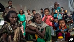 Faayilii - Namoota naannoo Tigraay keessaa buqahanii mana marumsa dahoo godhatanii jiran, Maqalee