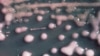 16x9 Image