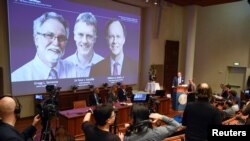 Thomas Perlmann, Secretary-General of the Nobel Committee, presents the Nobel laureates, William G. Kaelin Jr, Sir Peter J. Ratcliffe and Gregg L. Semenza, of this year's Nobel Prize in Medicine during a news conference in Stockholm, Sweden, October 7, 2019.