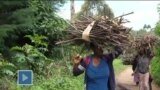 África Agora: Paulina Chiziane diz que “a mulher é que segura África”