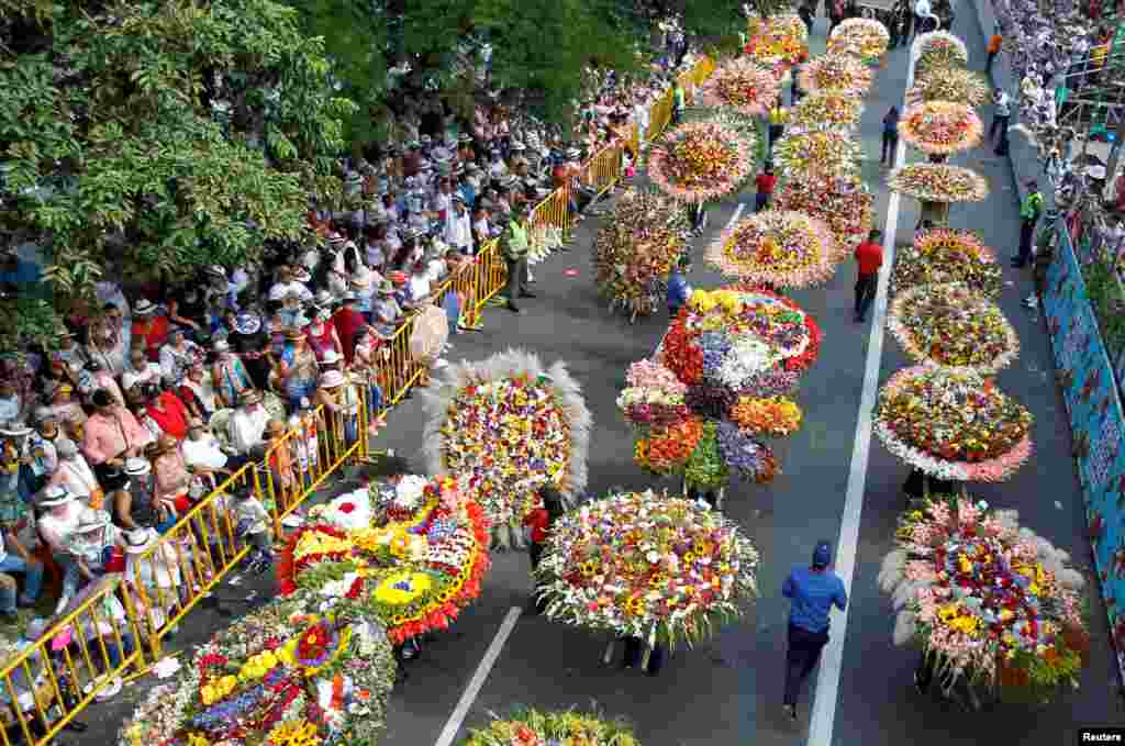 អ្នកដាំផ្កាកំពុងសែងផ្កាដែលខ្លួនបានតុបតែងក្នុងក្បួនដង្ហែផ្កាប្រចាំឆ្នាំក្នុងទីក្រុង Medellin ប្រទេសកូឡុំប៊ីកាលពីថ្ងៃទី០៧ សីហា ២០១៧។