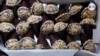 El dulce sabor de la constancia