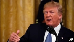FILE - resident Donald Trump speaks during an event about the environment in the East Room of the White House, July 8, 2019, in Washington. 