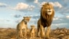 'Sonic 3' and 'Mufasa' battle for No. 1 at holiday box office