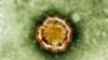 Study Indicates MERS-CoV is Not Yet Pandemic