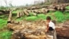 New Report Shows Cambodian Forests in Jeopardy