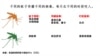 中国将美国列为寨卡病毒感染国家