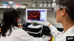 Dr. Sonia Macieiewski (R) and Dr. Nita Patel, Director of Antibody discovery and Vaccine development, look at a sample of a respiratory virus at Novavax labs in Rockville, Maryland, one of the labs developing a vaccine for the coronavirus, COVID-19. 