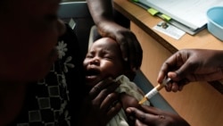 Quiz - Progress Made Against Malaria at Risk