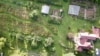 Final Thoughts from a Garden Expert