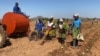 Workers plant tobacco in Mazowe district, September 5, 2020.(VOA/Columbus Mavhunga)