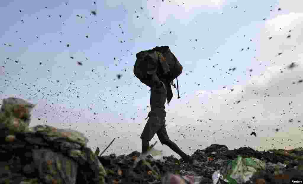 Serangga dan burung-burung beterbangan di atas tempat pembuangan sampah sementara seorang pemulung mengumpulkan sampah yang bisa didaur ulang di New Delhi, India.