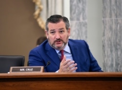 Seneta Ted Cruz