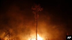 Bolivia Fires