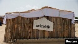 Cette année, 8,4 millions de personnes du nord-est dépendent de l'aide humanitaire pour survire, affirment les Nations unies. 