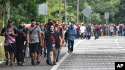 Karvani i migrantëve duke ecur në Tapaçula - 20 nëntor 2024.