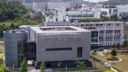 中國和巴基斯坦否認合作研製生物武器