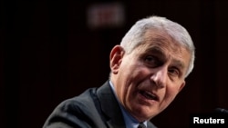 Dr. Anthony Fauci, penasihat Gedung Putih untuk pandemi, di rapat dengar pendapat Komite Senat untuk Kesehatan, Pendidikan, Tenaga Kerja, dan Pensiun, di Washington, 18 Maret 2021. 