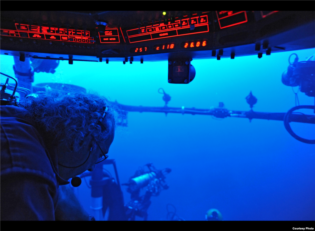 The Johnson-Sea-Link submersible dives to nearly 1,000 meters. Credit: Sonke Johnsen