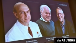 Harvey J. Alter, Michael Houghton and Charles M. Rice, are seen on a screen as they are announced as the winners of the 2020 Nobel Prize in Physiology or Medicine, in Stockholm, Oct. 5, 2020. (C. Bresciani/TT News Agency/via Reuters)