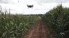 WATCH: Drones Can Help Farmers Grow Healthier and More Abundant Crops