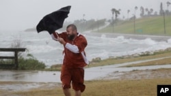 Seorang pria kesulitan menggunakan payungnya saat angin kencang dan hujan menjelang datangnya badai Harvey di kota Corpus Christi, Texas, Jumat (25/9). 