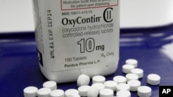 FILE - OxyContin pills, an opioid drug, are arranged for a photo at a pharmacy in Montpelier, Vermont, Feb. 19, 2013. The U.S. House passed a bill targeting addiction to pain medication.