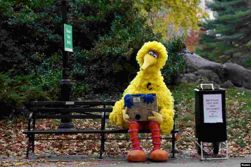 A man dressed as the Sesame Street character Big Bird sits on a bench waiting to take pictures with people walking through Central Park in New York, Nov. 14, 2016.