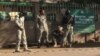 Un militant de l'opposition libéré au Tchad