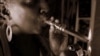 Luxury Cigars in Demand in South Africa as Cigarette Smoking Plummets