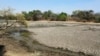 Drought Threatens Livestock in Western Zimbabwe