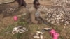 Boko Haram tue cinq personnes dans la région du Lac Tchad