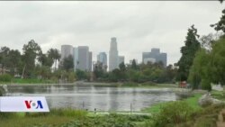Los Angeles: Pokušaji pomoći velikoj populaciji beskućnika