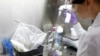 Les essais de vaccins expérimentaux contre le virus à Ebola vont bon train