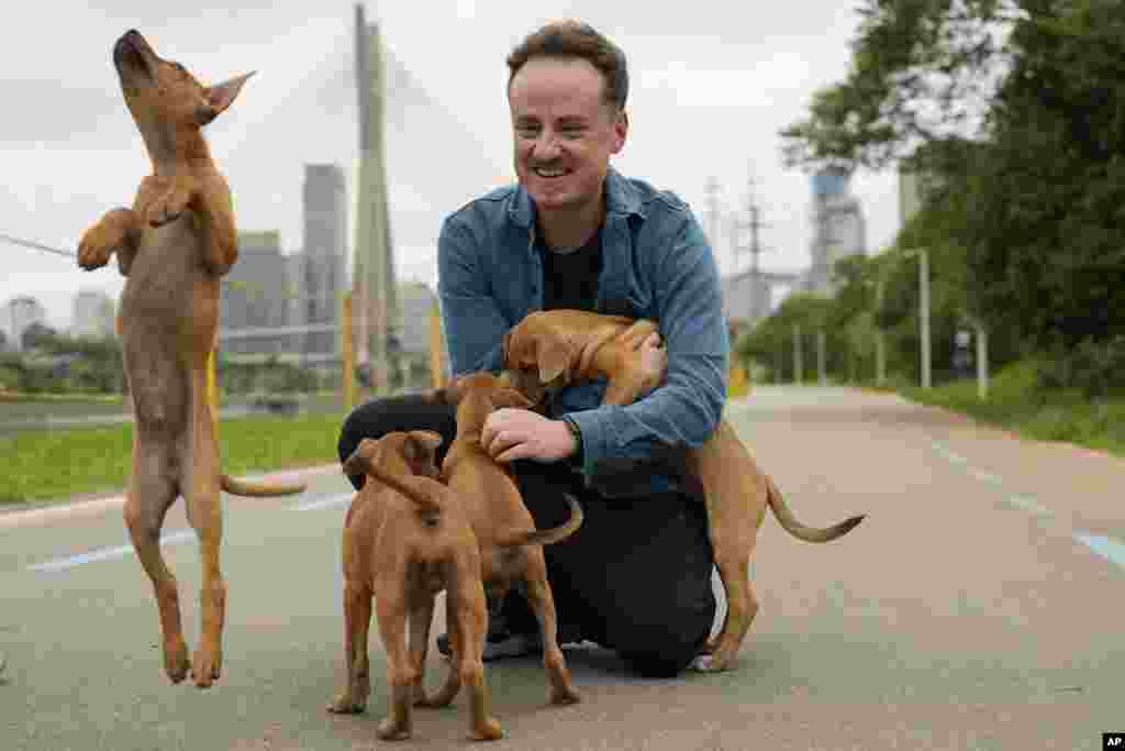 Por décadas fueron considerados los perritos feos de Brasil. Eran abandonados, ignorados y buscaban su alimento en las calles.