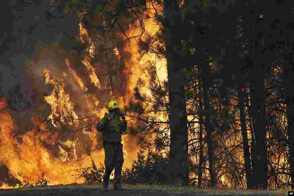 Firefighter A.J. Tevis watches the flames of the Rim Fire near Yosemite National Park, California, August 25, 2013.