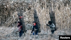 지난 2013년 12월 북한 신의주의 압록강변에서 여자 아이들이 나무를 지고 가고 있다.