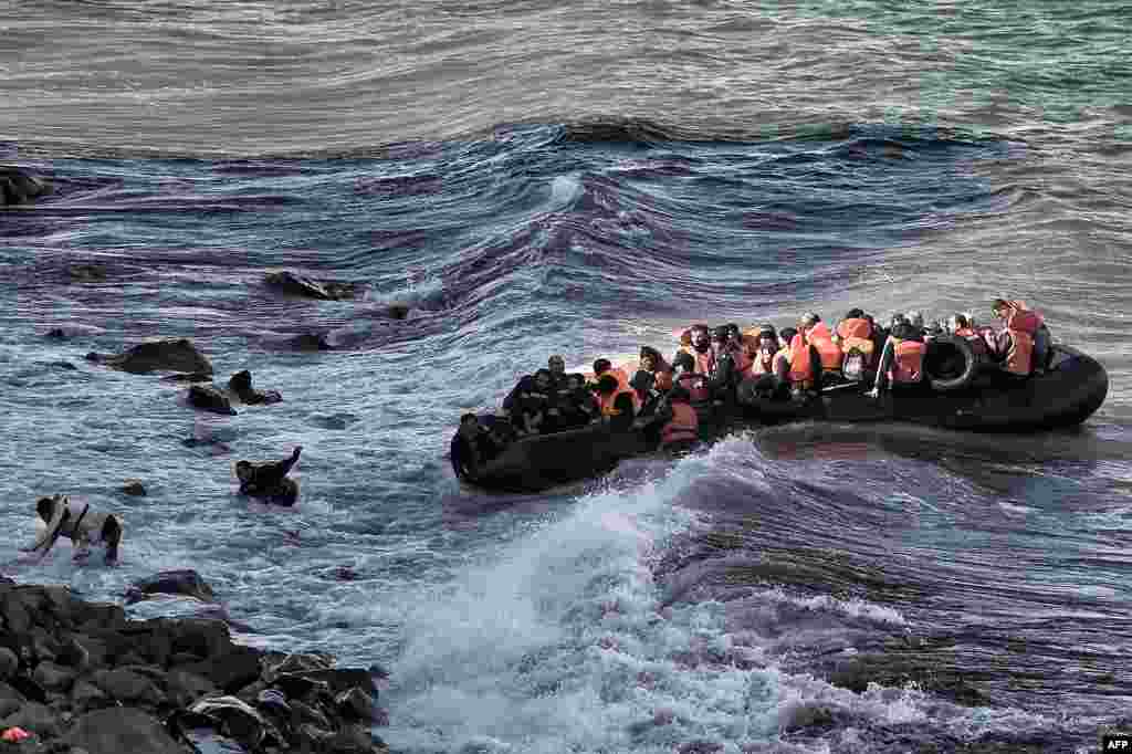 Des migrants tentent d'atteindre le rivage de l'île grecque de Lesbos lors d'une traversée de la mer Égée, Turquie, 30 octobre 2015 .