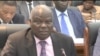 UMnu. July Moyo, umphathintambo wohlangothi olubona ngenswelo zikazulu olweSocial Welfare. (Columbus Mavhunga/VOA)