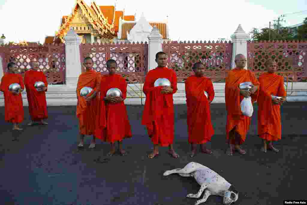 A dog sleeps in front of Buddhist monks begging for alms outside a temple near Government House in Bangkok, Thailand.