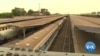 Privatizing Zimbabwe Railroad Could Be Right Track for Economy