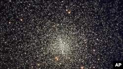 NASA's Hubble Space Telescope has uncovered the oldest burned-out stars, white dwarfs, estimated to be between 12 and 13 billion years old, inside this star cluster located 7,000 light-years away, as seen in this handout photo, date not known.