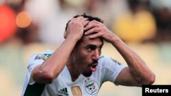 En Algérie, l'élimination des Fennecs a été vécue comme un drame national. 