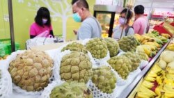 中國恢復進口台灣番荔枝 國民黨稱交流對話有成效 民進黨批政治操作