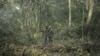 Ce groupe roulait dans le célèbre parc national Queen Elizabeth lorsqu'il a été attaqué par des membres de la milice des Forces démocratiques alliés.