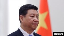 中国国家主席习近平11月13日在人民大会堂参加欢迎仪式