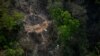 Colombia Says it Killed 23 Members of Armed Groups, Including One Leader, in Arauca 