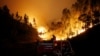 Pas de répit sur le front des incendies au Portugal qui pleure 62 morts